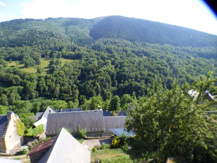 Maison Familiale Pour 8 Saint-Aventin Extérieur photo