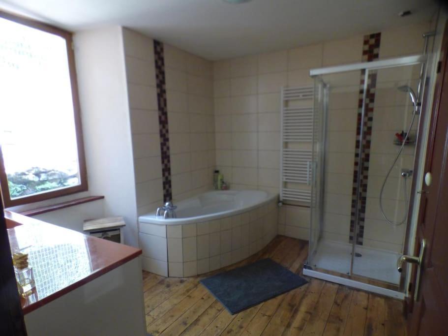 Maison Familiale Pour 8 Saint-Aventin Extérieur photo