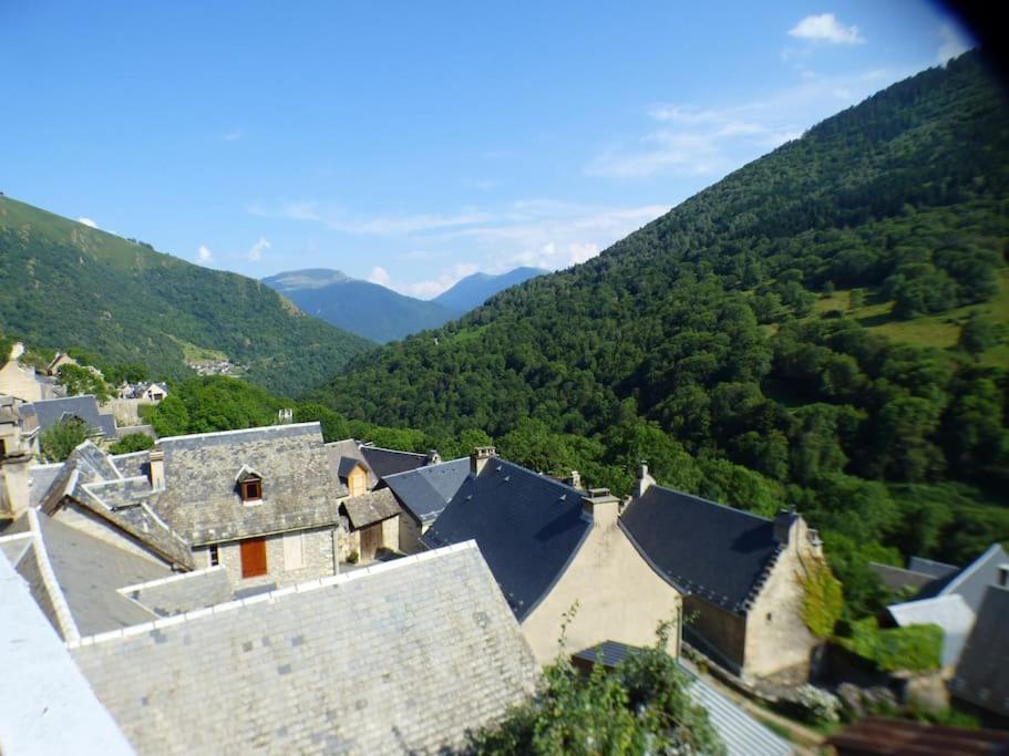 Maison Familiale Pour 8 Saint-Aventin Extérieur photo