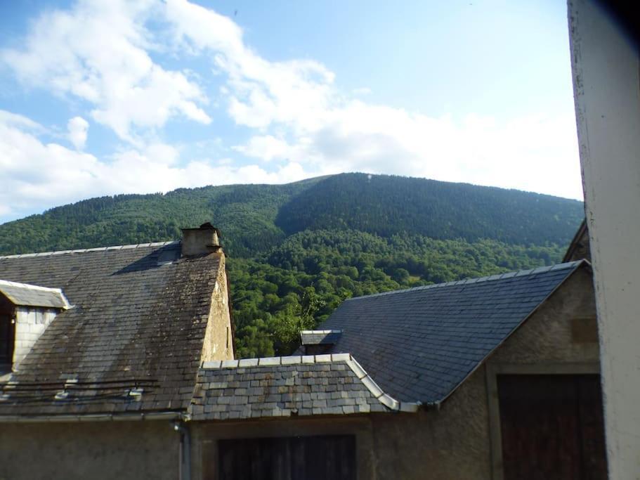 Maison Familiale Pour 8 Saint-Aventin Extérieur photo